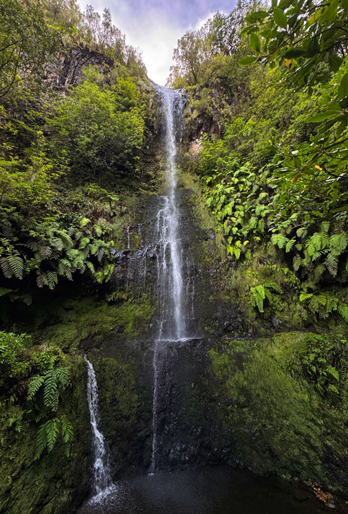 Madeira_07_LG