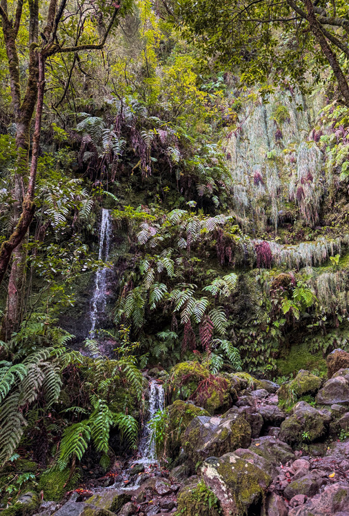 Madeira_08_LG