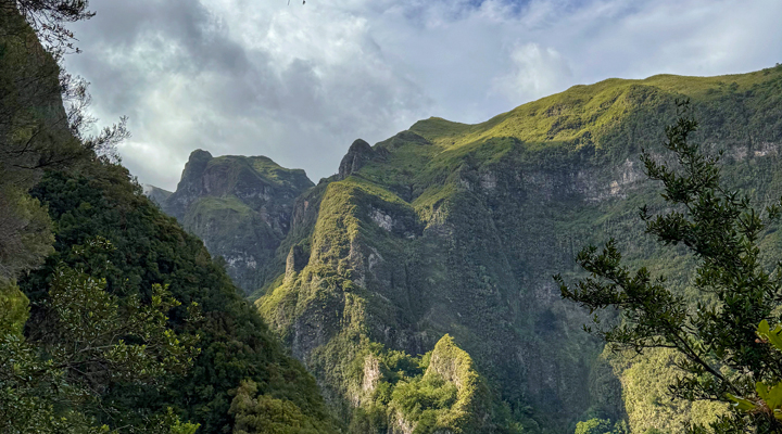 Madeira_Anzeigebild_LG